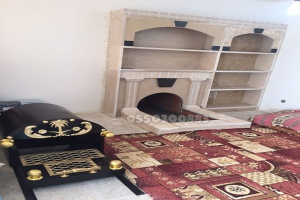 مشبات